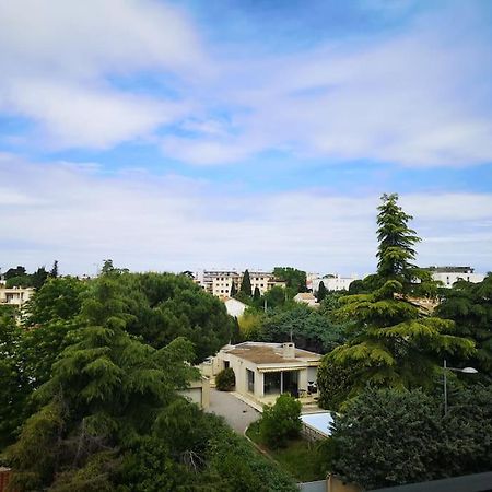 Studio - Centre Ville - Free Parking Montpellier Ngoại thất bức ảnh
